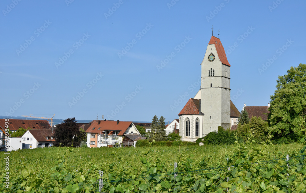Village of Hagnau, Germany on Lake Constance with Foreground Vineyards Village of Hagnau, Germany on Lake Constance with Foreground Vineyards