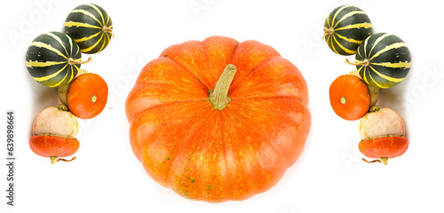 Pumpkins isolated on white . Collage. Wide photo.