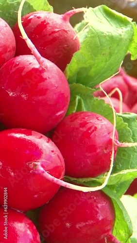 ripe red tomatoes on the market counter market 