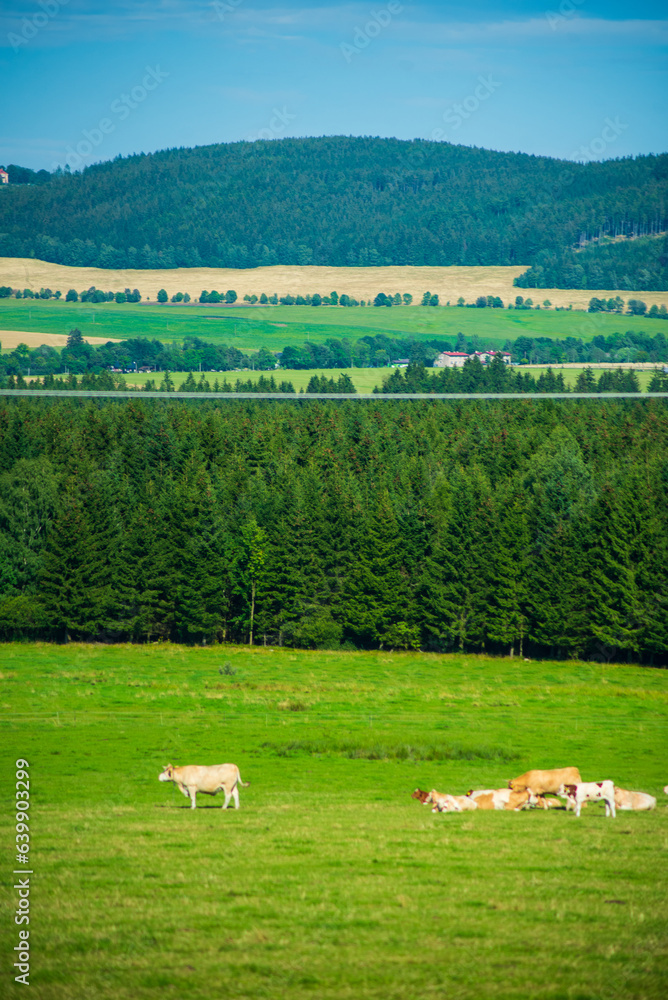 beautiful landscape. mountains and fields in the Czech Republic beautiful landscape. mountains and fields in the Czech Republic