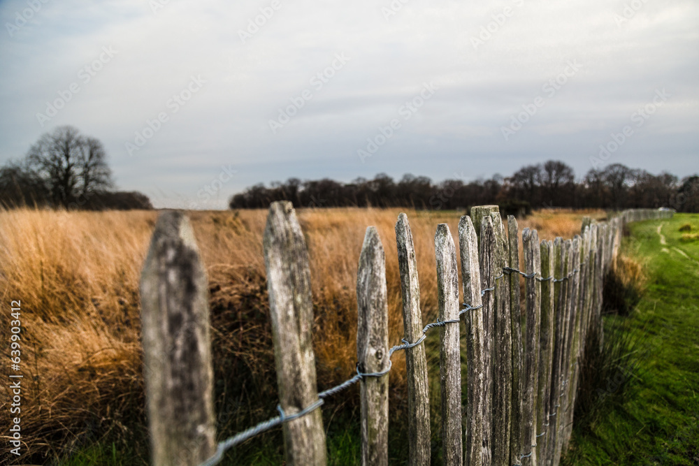 Fototapeta premium A fence to defence