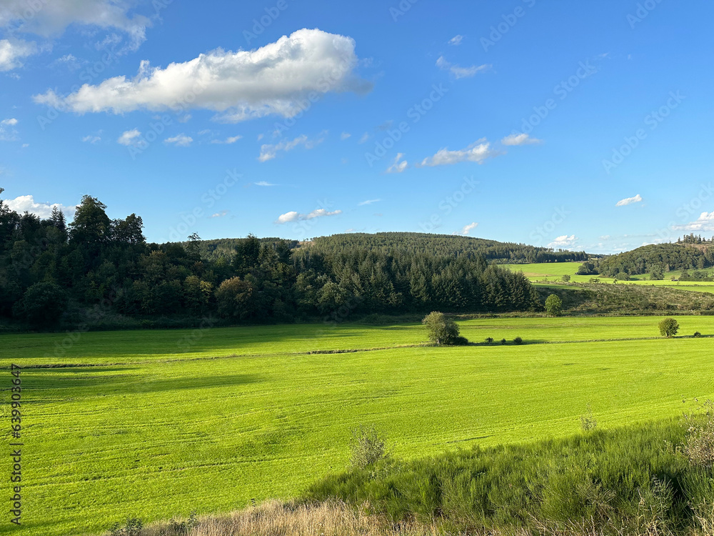 Grüne Weise im Gebirge