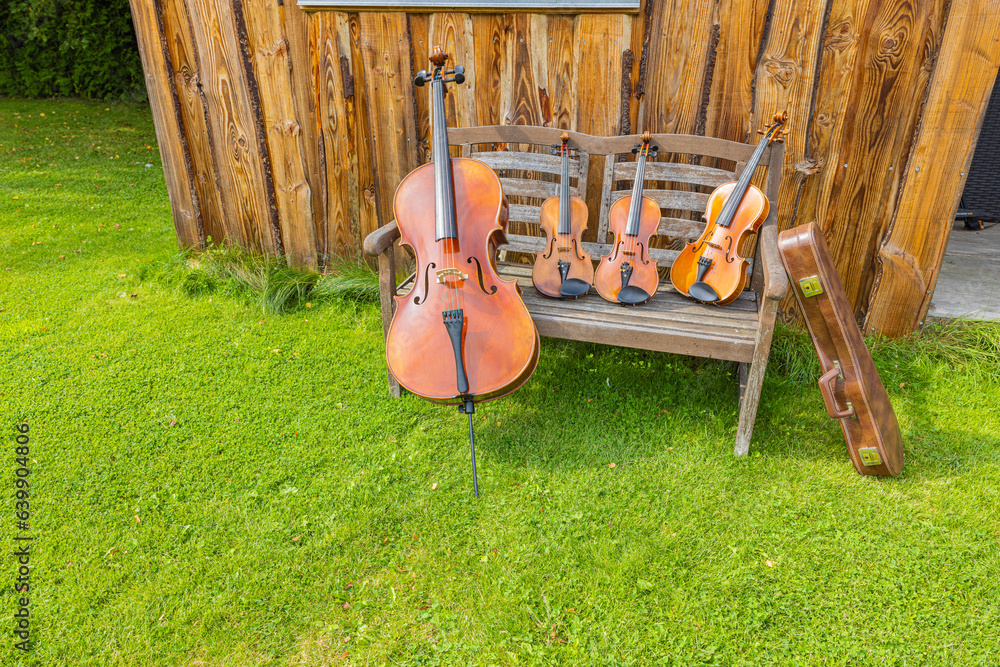 A photography of old string musical instruments placed on an old bench in the front of a wooden wall in the garden covered by green grass.