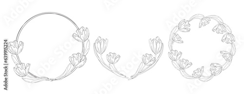 Tulips wreath set for card or invite, coloring pages with spring flower.Tulips black and white wreath line art flower, vector isolated on a white background