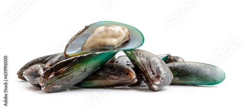 Steamed or cooked food of fresh beautiful green mussels in stack isolated on white background with clipping path