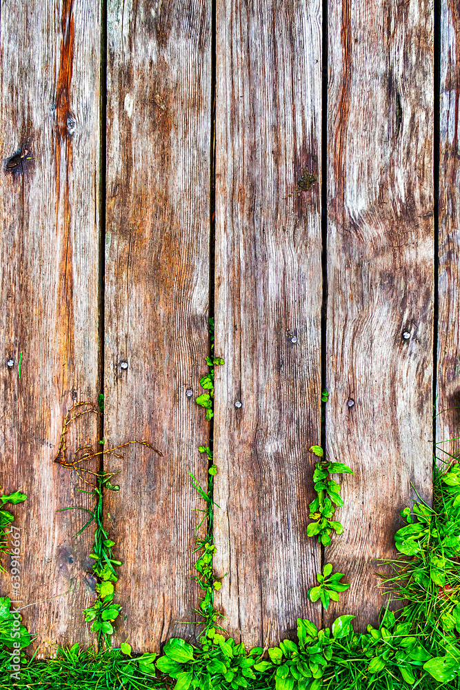 Wooden Planks with a Leaves Wooden Planks with a Leaves