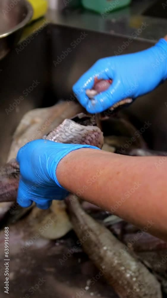 Vertical video. Cleaning the frozen fish lying in the sink in the kitchen. The chef's gloved hands cut the hake with scissors and remove the guts. Vertical video. Cleaning the frozen fish lying in the sink in the kitchen. The chef's gloved hands cut the hake with scissors and remove the guts.