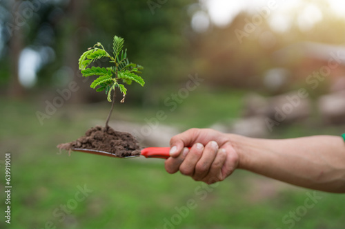 Hand holding a shovel digging soil with a small plant. The concept of reforestation and nature restoration.