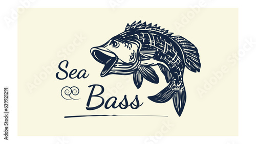 Drawing of sea bass fish jumping with text "sea bass". can be used to logo, label, illustration, clothing, etc.