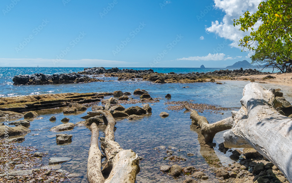 Plage dans la Mer des Caraïbes sans personne. Plage dans la Mer des Caraïbes sans personne.