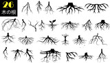 木の根ベクトル コレクション、白地に黒い根のシルエット、詳細な根のイラスト。教育、自然のグラフィック、環境研究に最適
