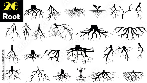 Collection of 26 root illustrations. Each black and white vector showcases the intricate details of various roots, perfect for educational materials, botanical studies, or artistic projects. photo