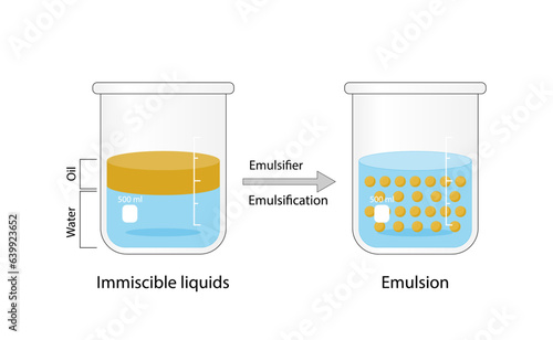 Emulsion, a mixture of two immiscible liquids (oil and water) in beakers, Emulsion oil in water, Immiscible liquids. Emulsification, emulsifier. isolated on white background. Vector illustration.