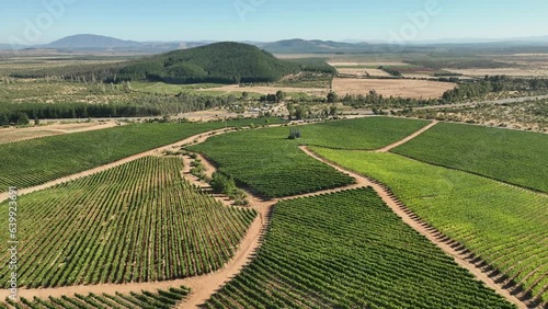 Aerial Drone Shot of Sunny Wineyard at Sunrisein Chile