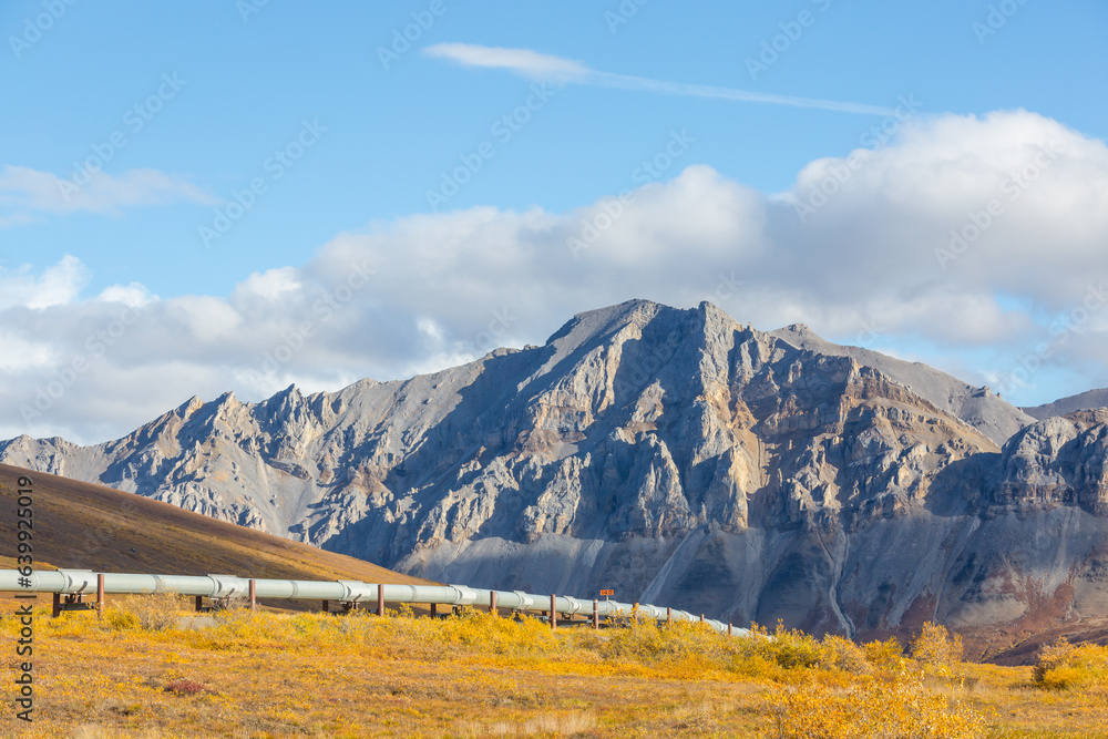 Fototapeta premium Pipeline