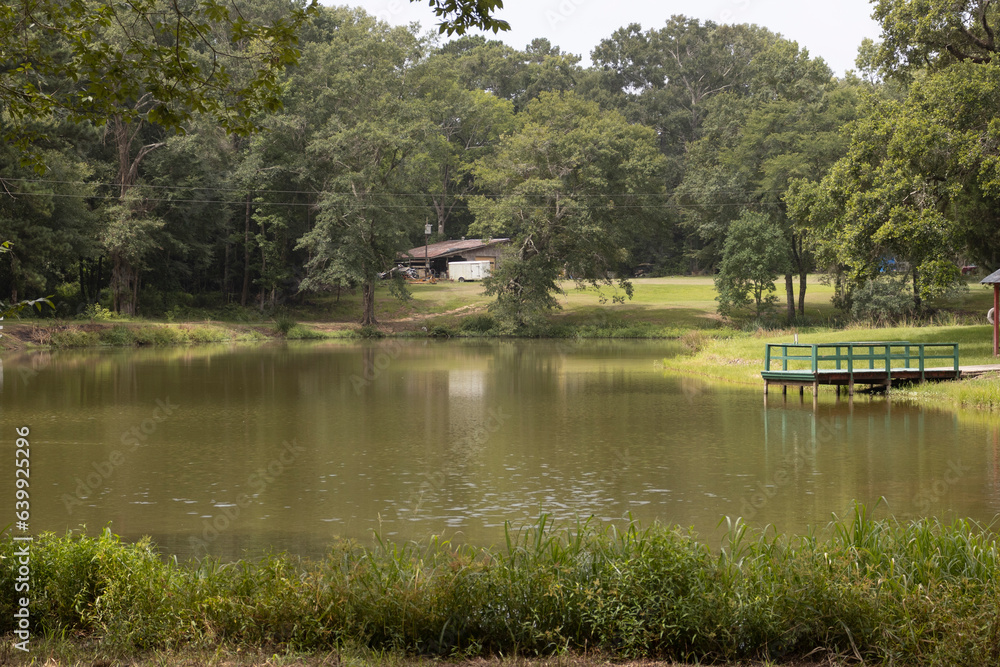 Quiet pond with old cabin in the background. Quiet pond with old cabin in the background.