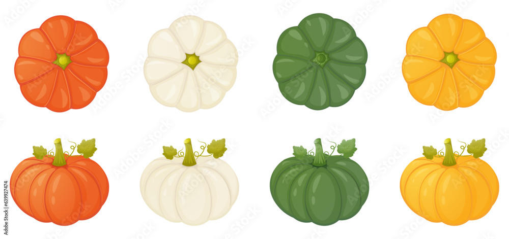 View in front and from above different color pumpkin collection View in front and from above different color pumpkin collection