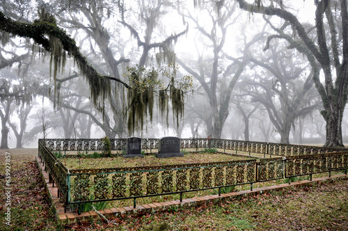 Spooky southern cemetery in fog.