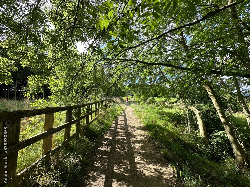 Woodland track, high on the hills, with wooden fencing, and old trees above, Bingley, UK Woodland track, high on the hills, with wooden fencing, and old trees above, Bingley, UK