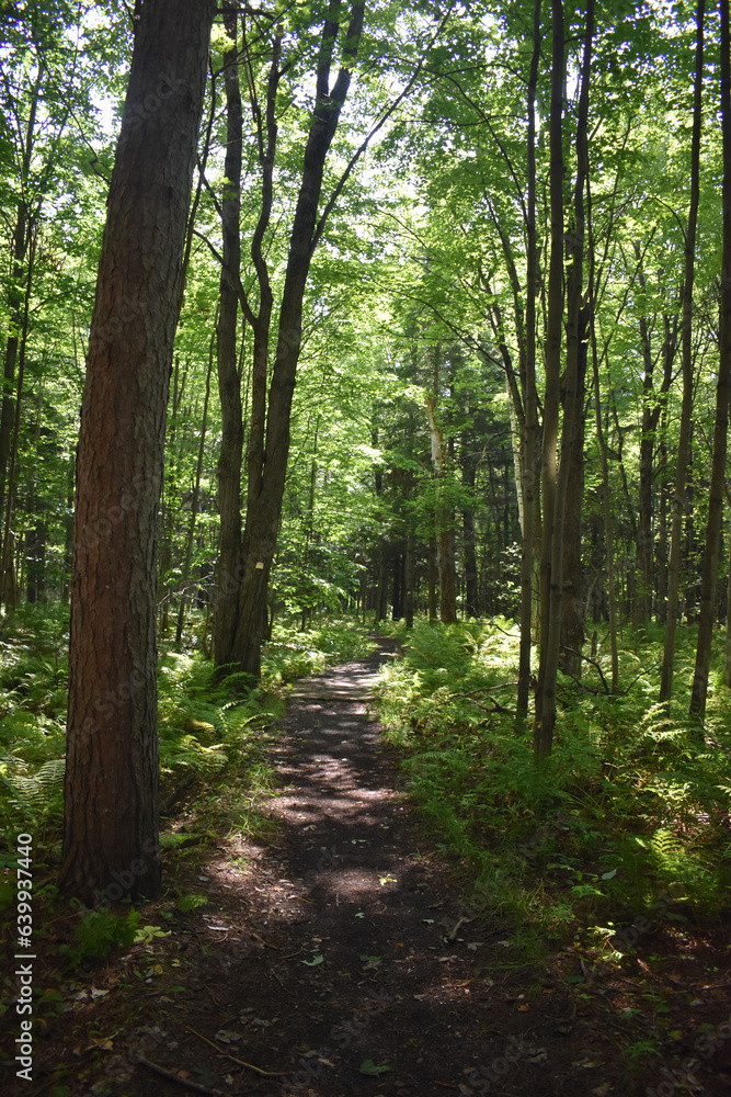 Naklejka premium La Plaine 27 Août 2023