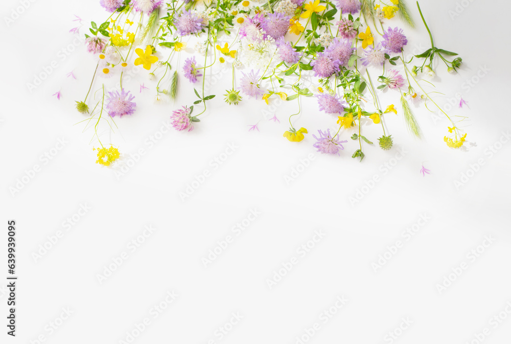 summer wild flowers on white paper background