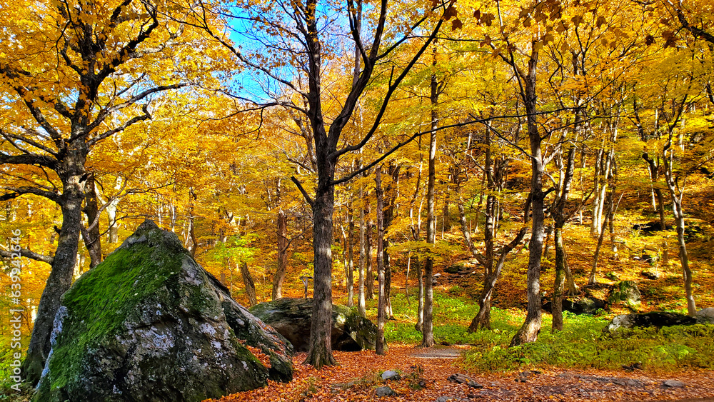 Beautiful fall colors of Smuggler's Notch, Vermont, USA