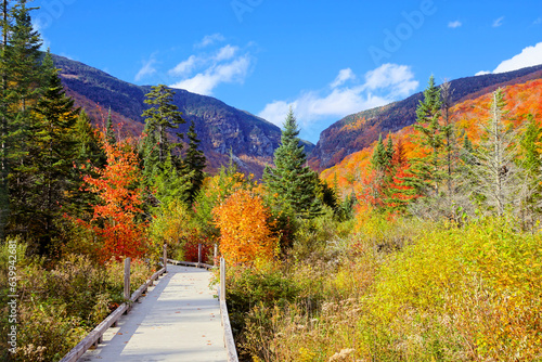 Beautiful fall colors along a boardwalk trail in the countryside of Vermont, USA photo