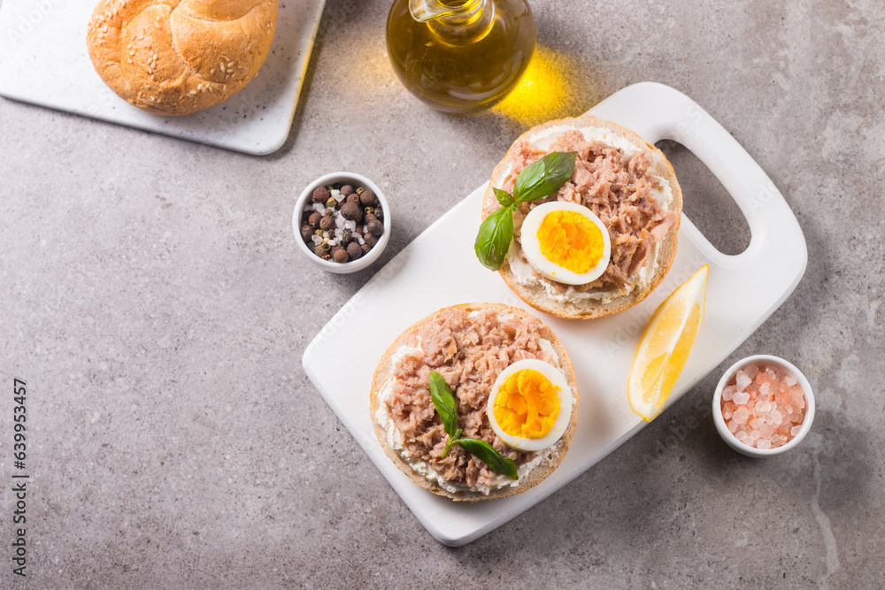 Toast with Canned Tuna. Fish open sandwich with egg and cheese. Toast with Canned Tuna. Fish open sandwich with egg and cheese.