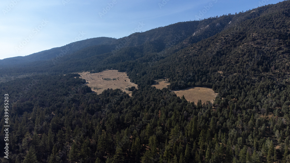 Los Padres National Forest near Mount Piños, Kern County, California