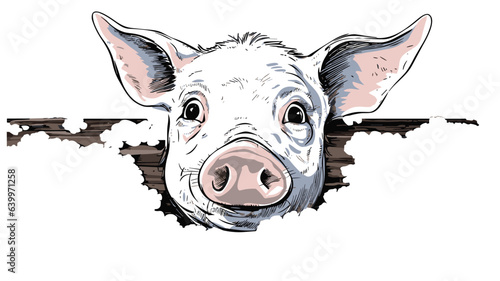 Adorable Pig Image Discover the Charm of a Playful and Cute Farm Animal
