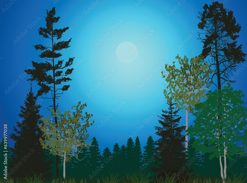 Fototapeta premium green forest on dark blue background illustration