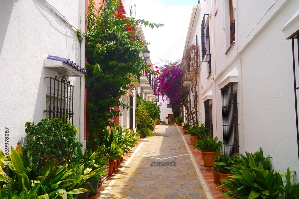 narrow alley with many flowers and plants in the old town of Marbella, Málaga, Andalusia, Spain