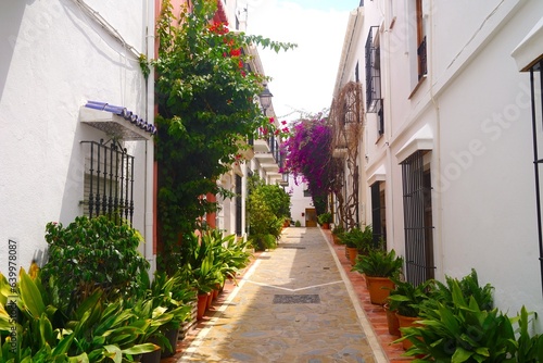 narrow alley with many flowers and plants in the old town of Marbella, Málaga, Andalusia, Spain