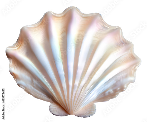 Isolated seashell scallop made of pearl, computer generated illustration for use as decoration element photo