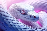 White snake with purple color. Close-up