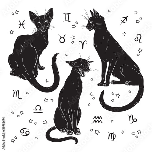 Black cats witch familiar spirit set halloween or pagan witchcraft theme print design vector illustration