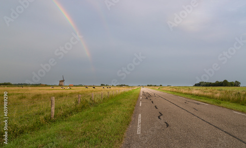Catching rainbows 