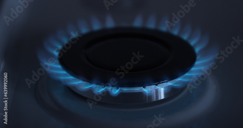 Gas Stove Burners, Blue Flame, Kitchen