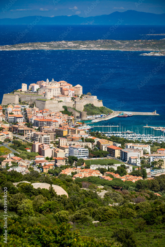 Port and fortress of Calvi, Corsica island, France