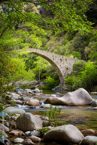 Ponte de Pianella, an old Genovese stone bridge over the River Porto near the village of Ota, Spelunca Gorges, Corsica, France, Europe photo