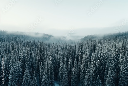 Aerial view photography of Pine Trees Covered With Snow in froggy forest © Maria Tatic