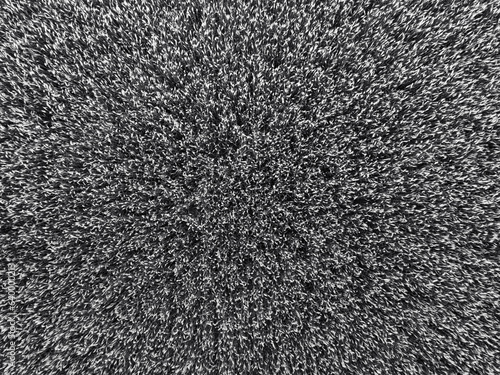 Aerial shot of the field in black and white