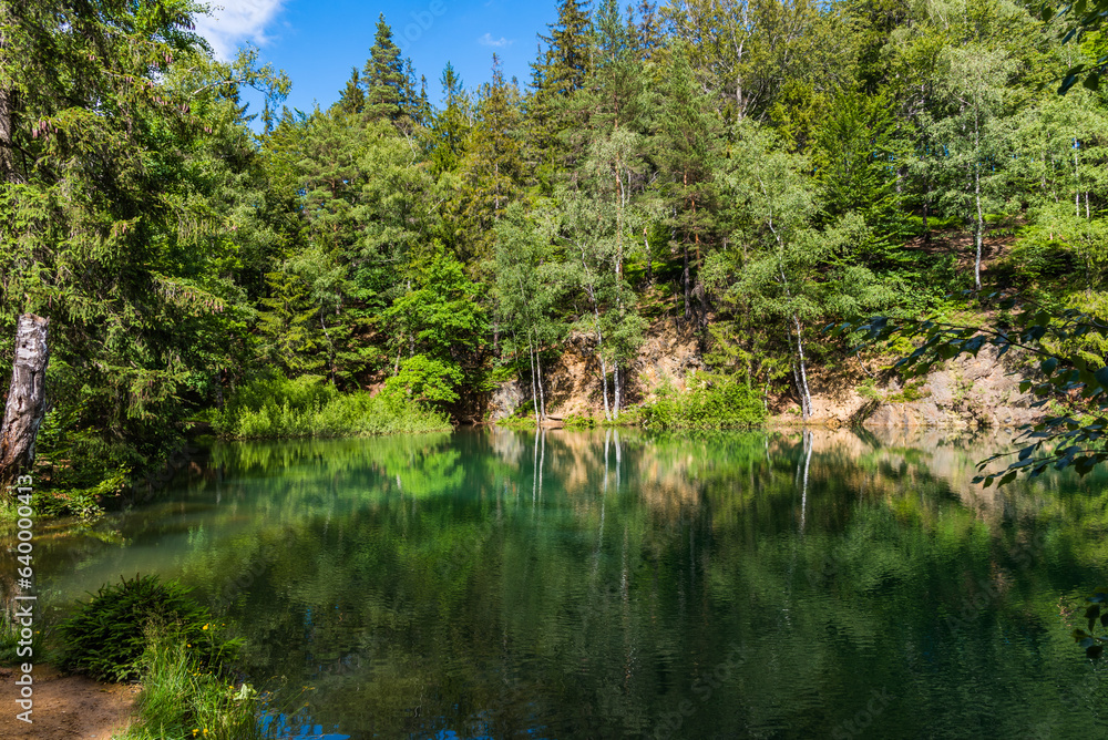 Forest lake on a summer day Forest lake on a summer day