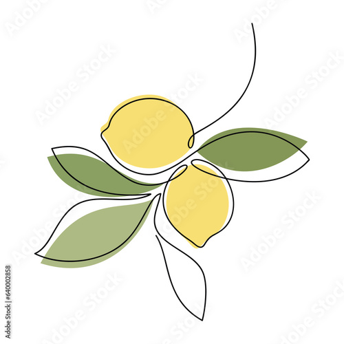 Lemon branch with leaves vector. One line continuous hand drawn illustration. Linear silhouette, citrus fruit icon. Minimal design, print, banner, card, wall art poster, brochure, logo, menu.