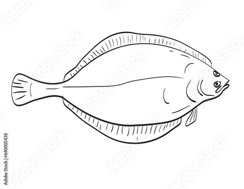 Drawing sketch style illustration of an American Plaice or Hippoglossoides platessoides fish species native to New England and Mid Atlantic on isolated white background done in cartoon art style.
