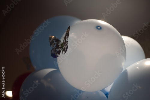 butterfly on a balloon