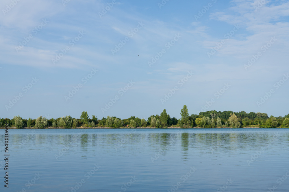 landscape with trees and lake