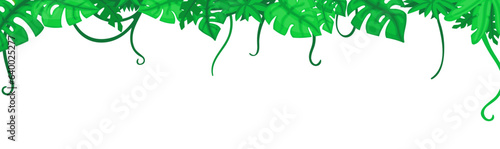 Green tropical leaves, jungle cartoon leaf banner, Empty exotic frame, decorative tropical forest foliage vector background