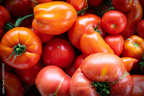 home tomatoes, different varieties from home garden - real photo from harvest © Vera Kuttelvaserova