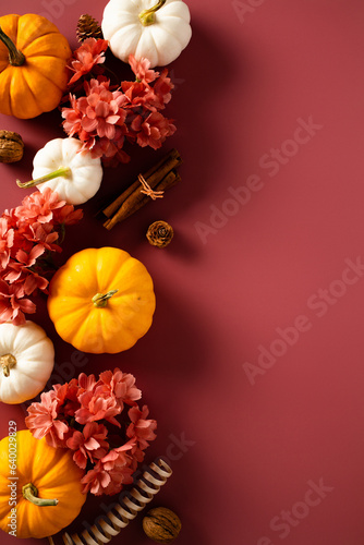 Wallpaper Mural Flat lay composition with pumpkins, flowers, walnuts, cinnamon sticks on dark red background. Thanksgiving day, harvest concept. Torontodigital.ca